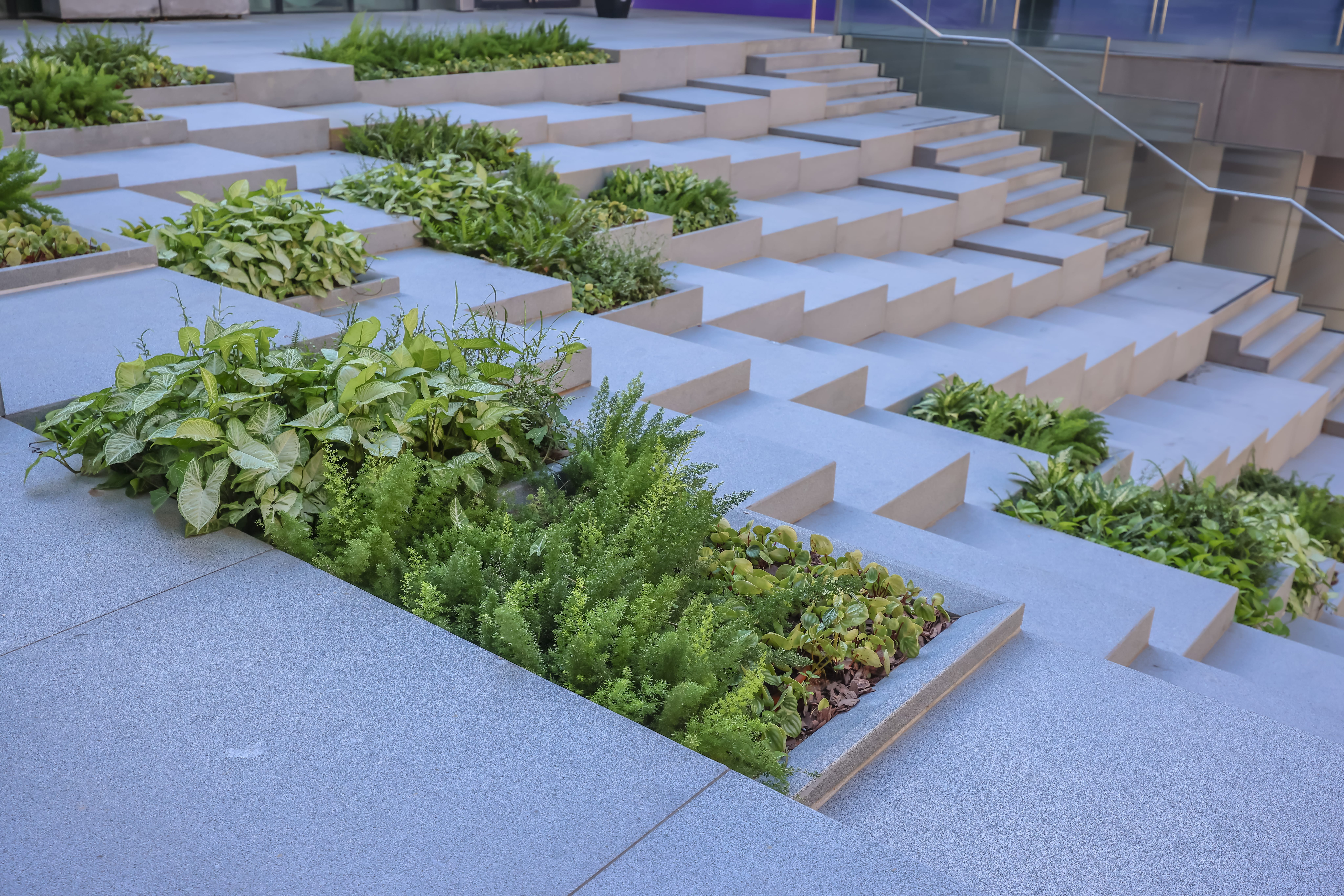 La megadalle, super structure du jardin